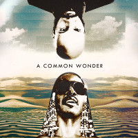 Amerigo Gazaway - A Common Wonder