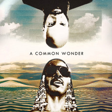 Amerigo Gazaway - A Common Wonder