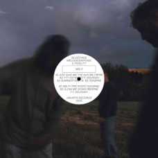 Bluestaeb / Melodiesinfonie / S. Fidelity - 365 P