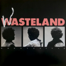 Brent Faiyaz - Wasteland