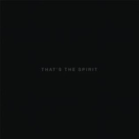 Bring Me The Horizon - That's The Spirit