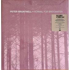 Peter Bruntnell ‎- Normal For Bridgwater