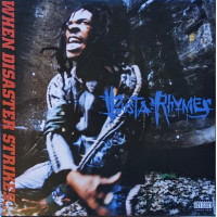 Busta Rhymes - When Disaster Strikes...
