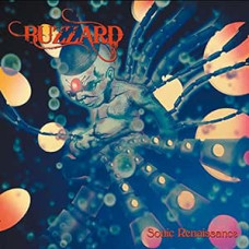 Buzzard - Sonic Renaissance