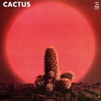 Cactus  - Cactus