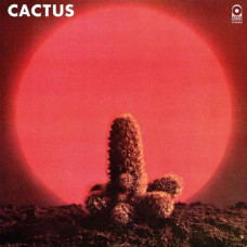 Cactus  - Cactus