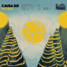 Causa Sui - In Flux 2x10"