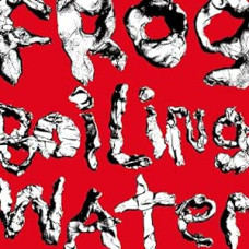 DIIV - Frog in Boiling Water