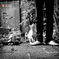 DJ Adlib - Hi-Hat Club (Vol. 6) -Haus & Garten