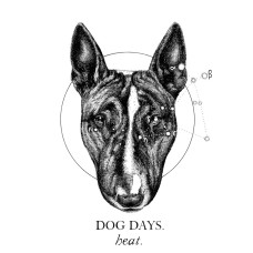 Dog Days - Heat