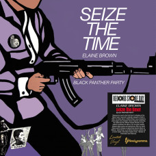 Elaine Brown - Seize The Time - Black Panther Party