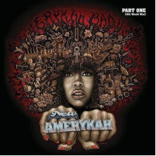 Erykah Badu - New Amerykah 01