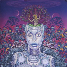 Erykah Badu - New Amerykah 02
