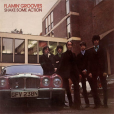 Flamin` Groovies - Shake Some Action