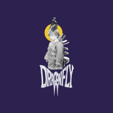 Fliptrix- Dragonfly