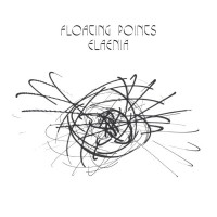 Floating Points - Elaenia