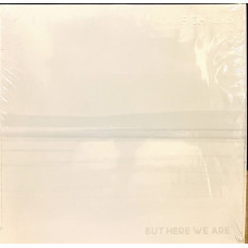 Foo Fighters - But Here We Are