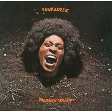 Funkadelic - Maggot Brain