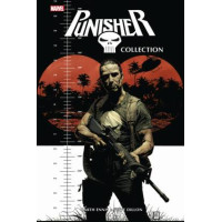 Garth Ennis / Steve Dillon - Punisher Collection Bd.01 - 04