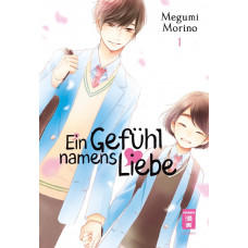 Morino Megumi - Ein Gefühl namens Liebe Bd.01 - 13