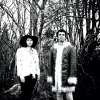 Green Flamingos - The Wiching Hour