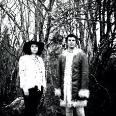Green Flamingos - The Wiching Hour