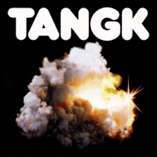Idles - TANGK ( Love Is The Fing) Orange Vinyl