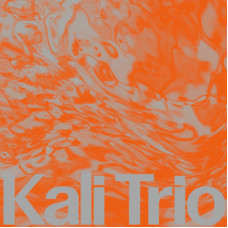 Kali Trio - Playful Abstract