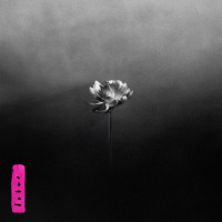 Little Simz - Lotus (Black Edition)