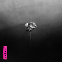 Little Simz - Lotus (Electric Pink Edition)