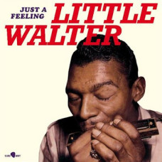 Little Walter - Just Feeling