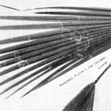 Masayoshi Fujita / Jan Jelinek - Schaum