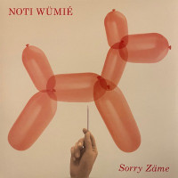 Noti Wümie - Sorry Zäme