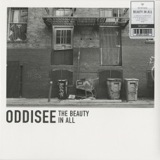 Oddisee - The Beauty In All