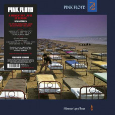 Pink Floyd - A Momentary Lapse Of Reason