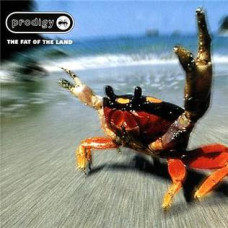 The Prodigy - Fat Of The Land