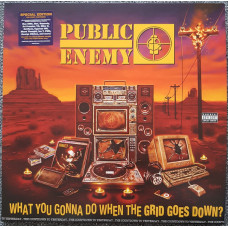 Public Enemy - What You Gonna Do When The Grid Goes Down?
