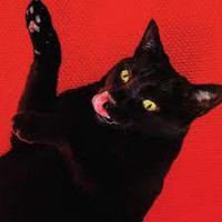 Ryan Adams - Big Colors (Gatefold Red Vinyl + Bonus 7inch)