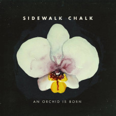 Sidewalk Chalk - An Orchid Is Born