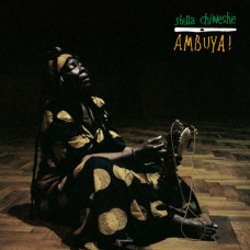 Stella Chiweshe - Ambuya !
