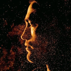 Stuart Staples - High Life