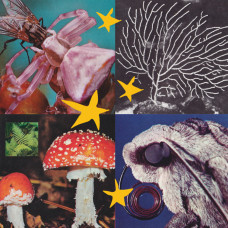 Various - All Things Considered Vol.2