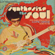 Various - Synthesize The Soul